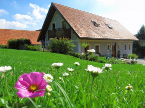Гостиница Weingut Dietl, Ригерсбург